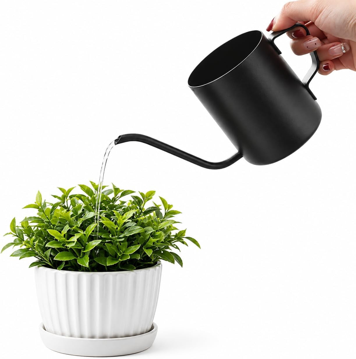 Watering Can for Indoor Plants, 12 oz / 350 ml Mini Plant Waterer, Stainless Steel with Long Spout House Succulents and Garden Decorative, Gentle Flow & No Spills