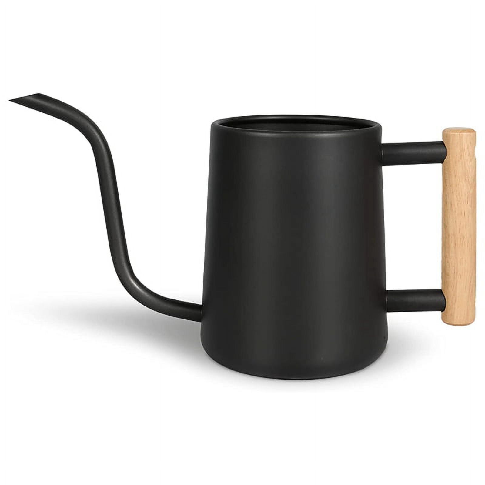 Watering Can Indoor Plants, 35 /1000 Ml Metal Stainless Steel Watering