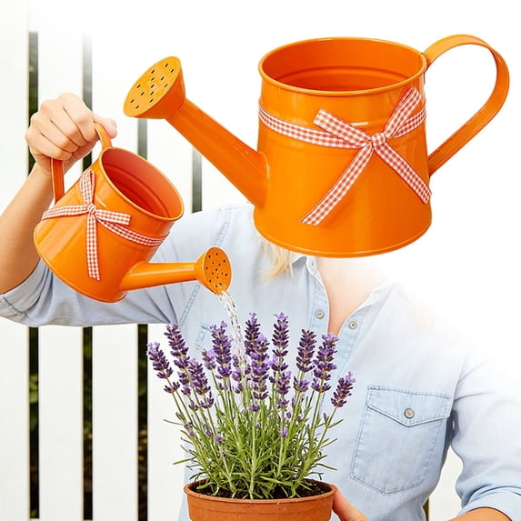 Watering Can for Indoor Plants, 35 oz/1000 ml Metal Stainless Steel Pot with Long Spout for House Bonsai Outdoor Garden Flower Decorative,Orange