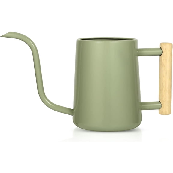 Watering Can Indoor Plants, 35 oz/1000 ml Metal Stainless Steel Watering Can Pot with Long Spout for Indoor House Plants Bonsai Outdoor Garden Flower Decorative (Sage Green)
