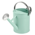 thumbnail image 1 of Watering Can - Metal Watering Can With Removable Spout, Perfect Plant Watering Can, 1 of 7