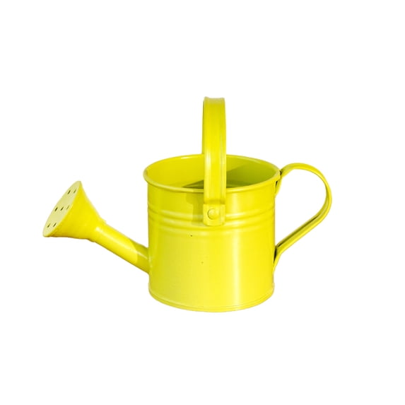 Watering Can Mini Iron 6.3 Inch Household Gardening Pot Multi-Purpose Sprinkler for Indoor Outdoor Plants and Vegetables