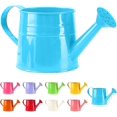thumbnail image 1 of Watering Can Outdoor, 0.25 Gallon Metal Small Capacity Watering Can Indoor Plants with Sprinkler Head,Decorative Lightweight Durable Watering Cans for Garden Lawn Bonsai Greenhouse, 1 of 9