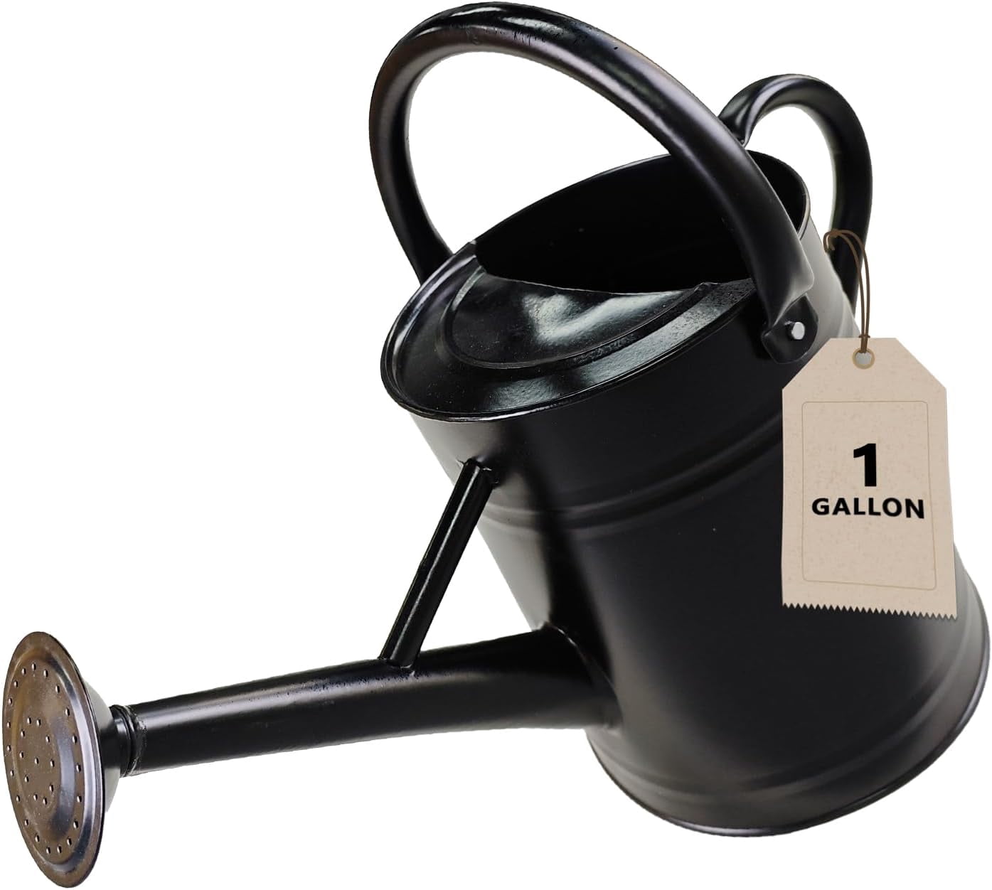 Watering Can for Outdoor&Indoor Plants，1 Gallon Metal Watering Can with with Removable Spout，Galvanized Steel Garden Flower Water Can Plant Watering Pot with 2 Handles，Black