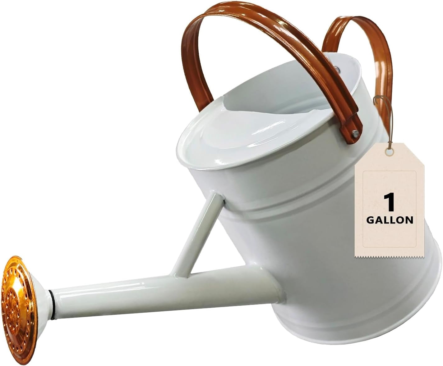 Watering Can for Outdoor&Indoor Plants，1 Gallon Metal Watering Can with with Removable Spout，Galvanized Steel Garden Flower Water Can Plant Watering Pot with 2 Handles，White