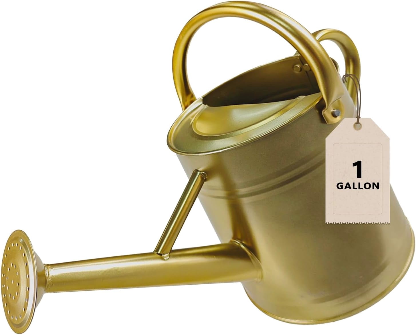 Watering Can for Outdoor&Indoor Plants，1 Gallon Metal Watering Can with with Removable Spout，Galvanized Steel Garden Flower Water Can Plant Watering Pot with 2 Handles，Gold
