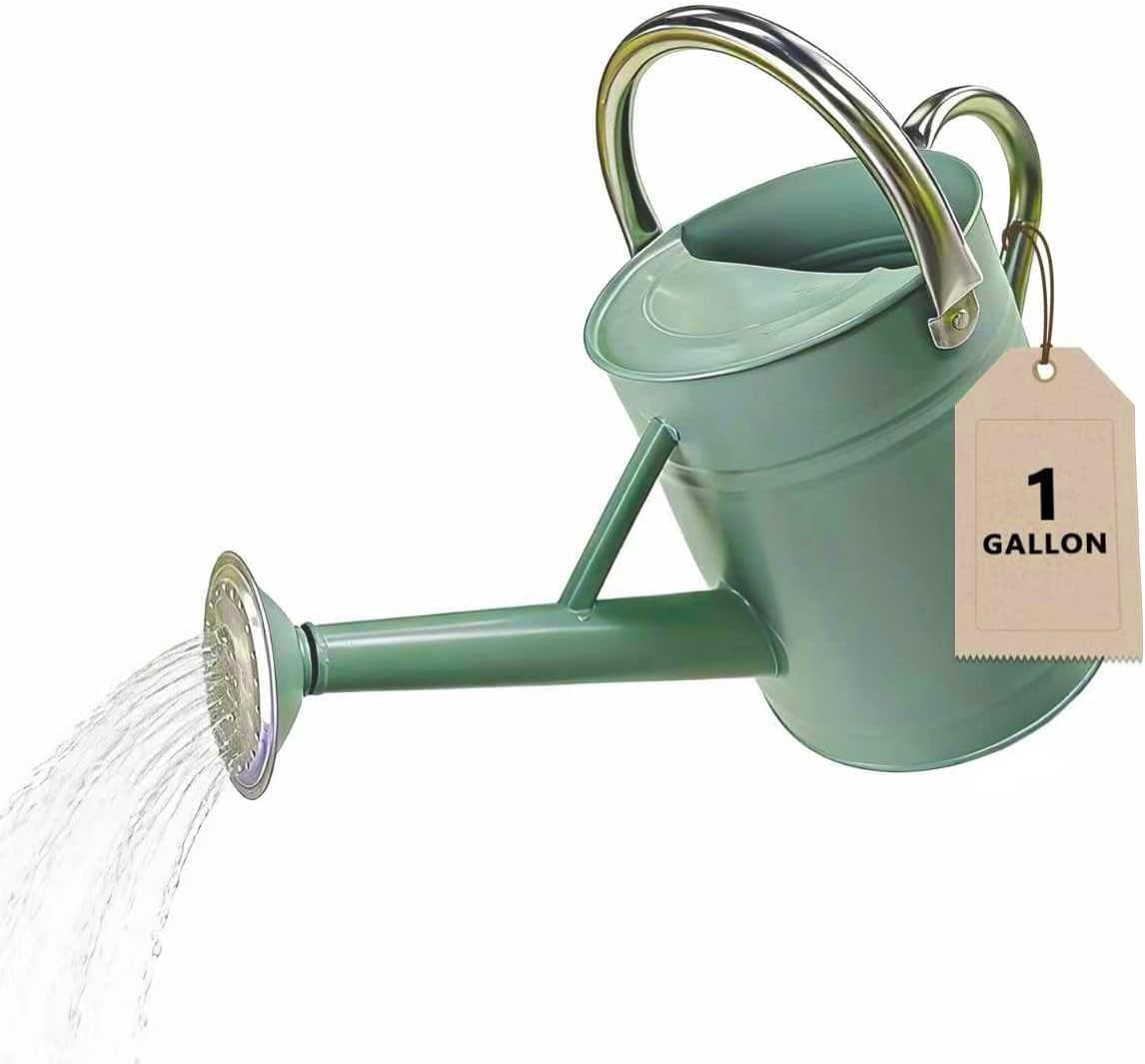 Watering Can for Outdoor&Indoor Plants，1 Gallon Metal Watering Can with with Removable Spout，Galvanized Steel Garden Flower Water Can Plant Watering Pot with 2 Stainless Steel Handles，Cream Green