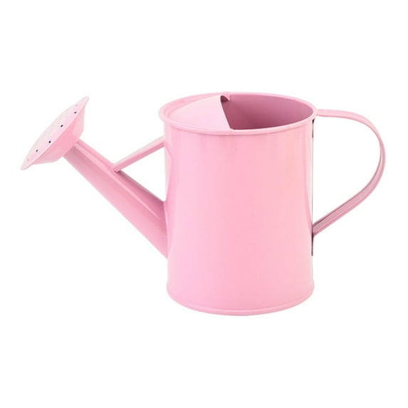 Watering Can for Outdoor Plants&Indoor Plants,Metal Watering Pot with Handle ,Plant Watering Pot with Removable Spout,Metal Flower Garden Water Can Watering Pot,Galvanized Steel Watering Can Outdoor