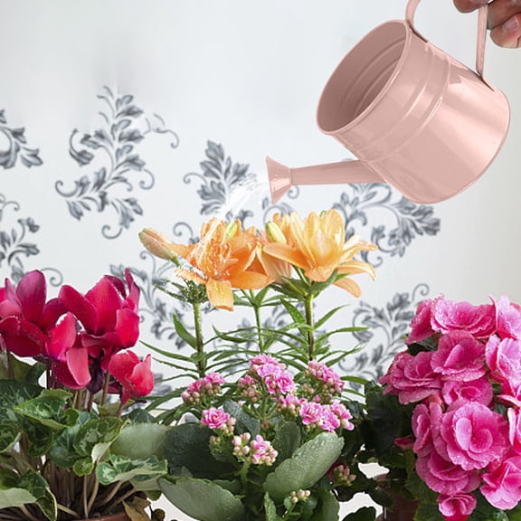 Watering Can Plant Watering Can Watering Can for Plants Indoor Outdoor Vintage Iron Flower Pot Kettle Floral Decorative Garden Tool Rust-Resistant 1.5L Capacity 4.5x4.5x11in Pink