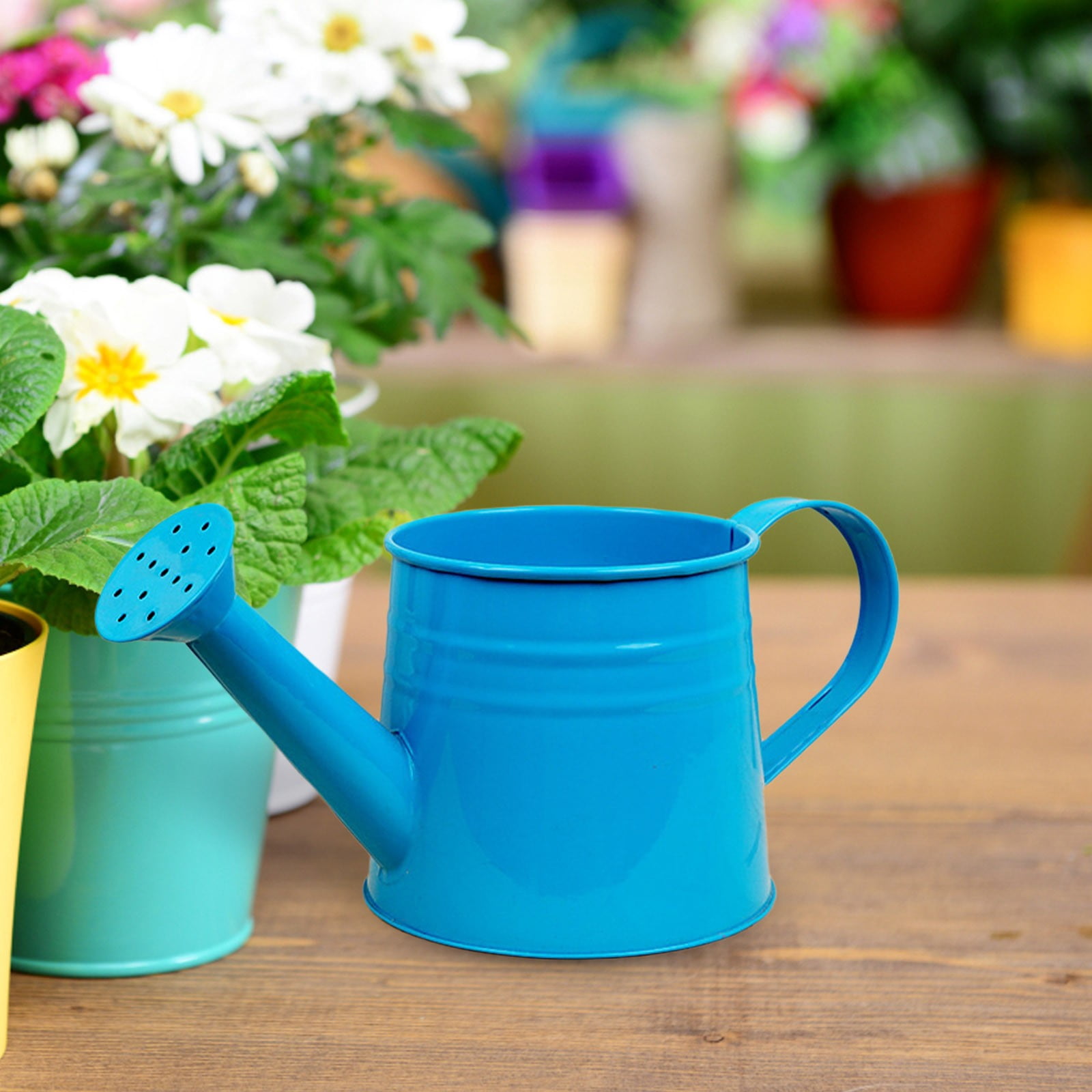 Watering Can, Small Metal Watering Can for Indoor Outdoor Plants, Mini Water Can with Ergonomic Handle, Durable Watering Pot for Potted Flowers Garden Balcony Patio