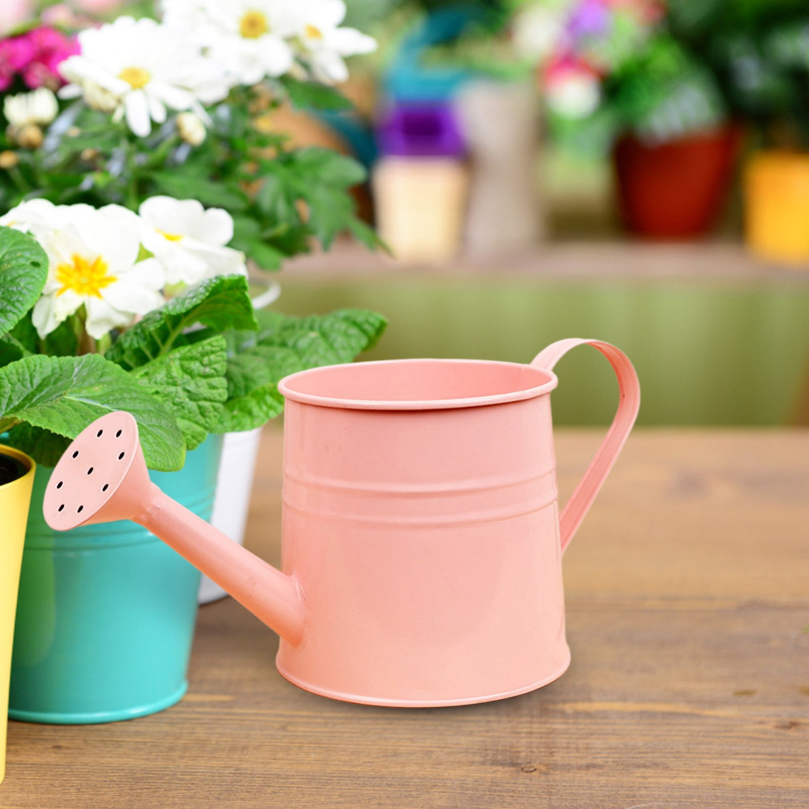 Watering Can, Small Metal Watering Can for Indoor Outdoor Plants, Mini Water Can with Ergonomic Handle, Durable Watering Pot for Potted Flowers Garden Balcony Patio
