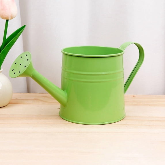 Watering Can for Indoor Plants, Small Mini Houseplant Watering Can with Handle, Home Garden Outdoor