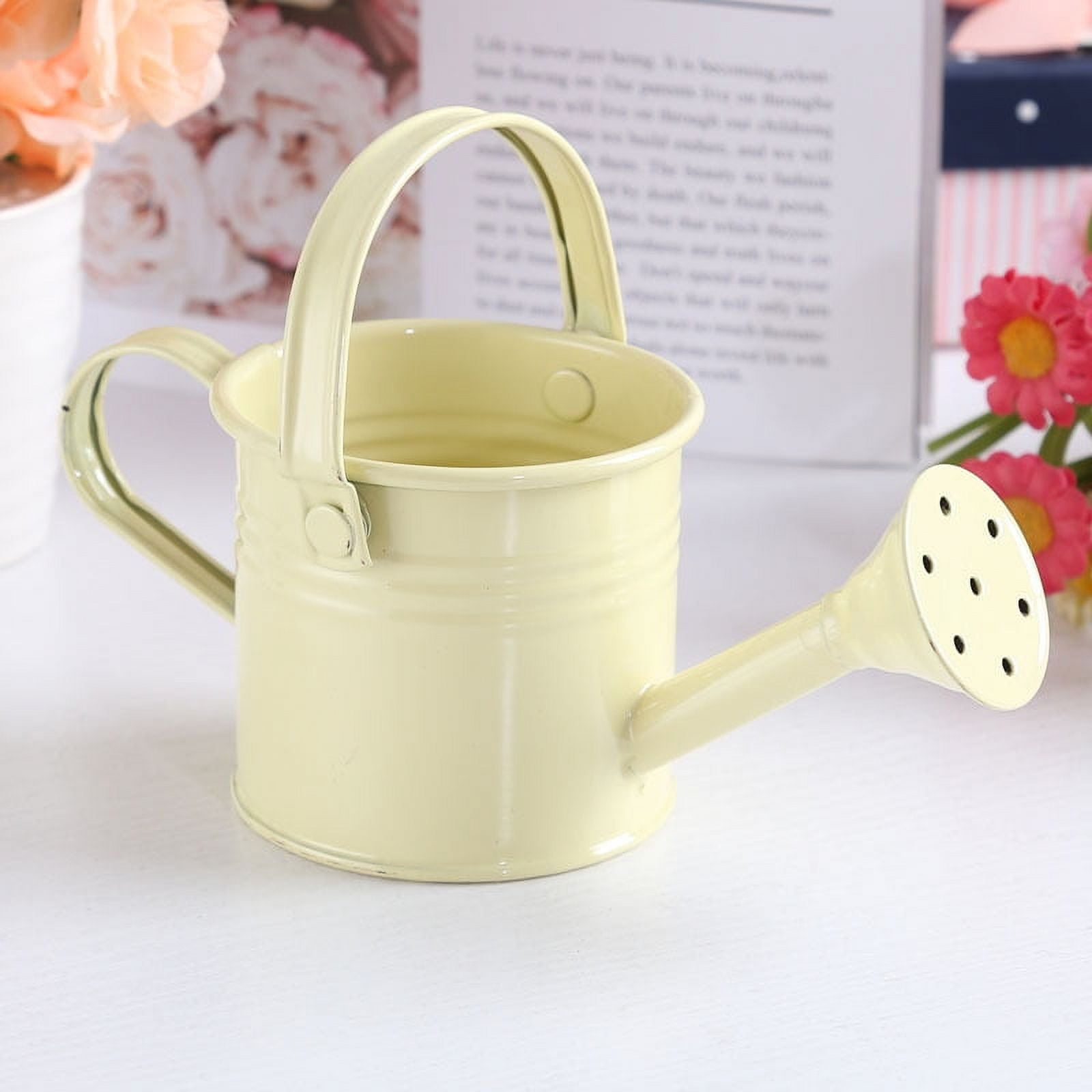 Watering Can for Indoor Plants, Small Watering Cans for House Plant Garden Flower, Long Spout