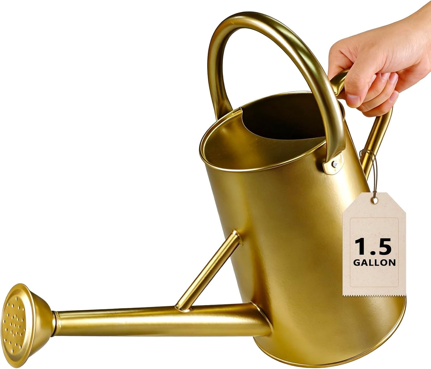Watering Can for Outdoor&Indoor Plants，1.5 Gallon（5.7L） Metal with Removable Spout，Large Galvanized Steel Garden Flower Water Pot 2 Handles，Gold