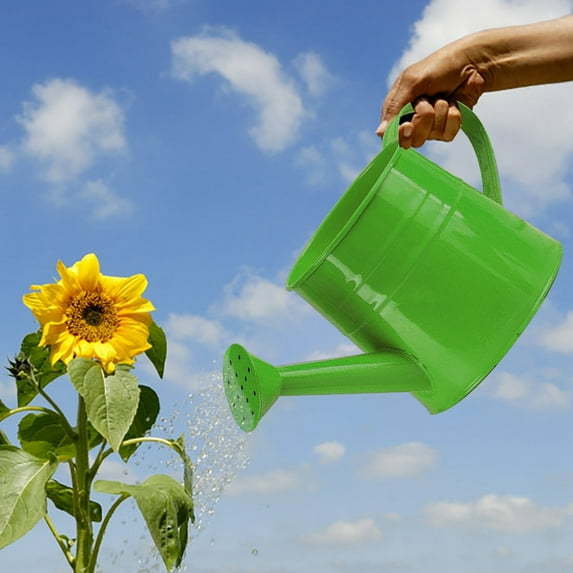 Watering Cans Galvanized Shower Bucket Tinplate Watering Kettle for Indoor Small Flower Pot with Decorative Design