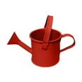 thumbnail image 1 of Watering Cans for Indoor Outdoor Mini Galvanized Shower Bucket Tinplate Kettle Small Flower Pot Novel Easter Pattern with Portable Handle for Home and Garden, 1 of 5