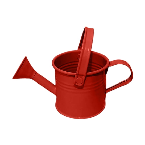 Watering Cans for Indoor Outdoor Mini Galvanized Shower Bucket Tinplate Kettle Small Flower Pot Novel Easter Pattern with Portable Handle for Home and Garden