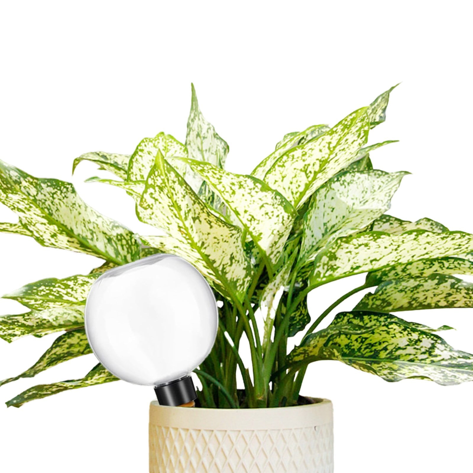 Watering Globes Automatic Plastic Self Watering Planter Insert Waterer