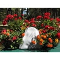 thumbnail image 1 of Watering Rocks Portable Automatic Irrigation Drip System White Granite, 1 of 6