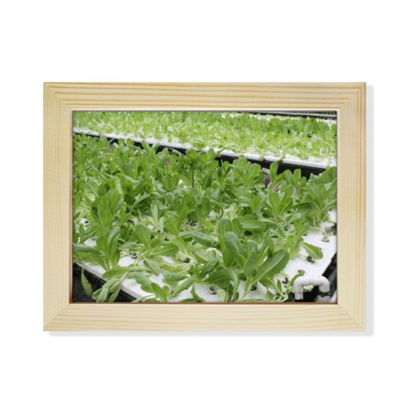 Waterless Cultivated Vegetables Desktop Photo Frame Picture Art Decoration Painting 6x8 inch
