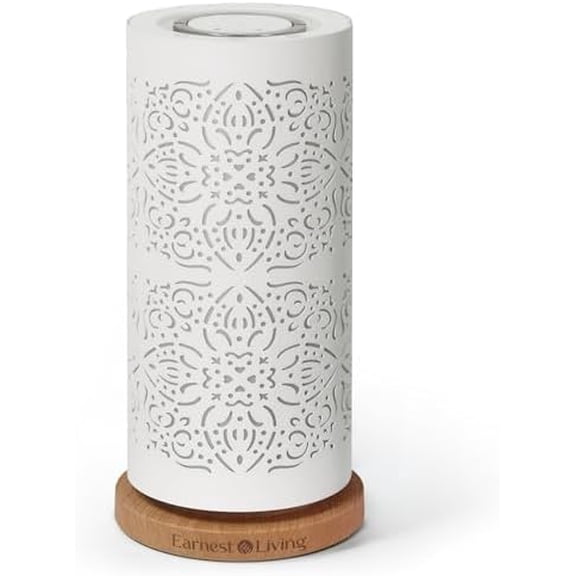 Waterless Diffuser 100ml Nebulizing Diffusion System for Studio Home Office Hotel Spa