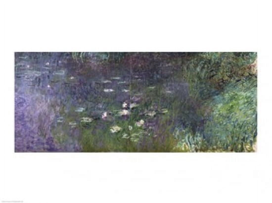 Waterlilies Morning 1914-18 (right section) Canvas Art - Claude Monet (24 x 18)