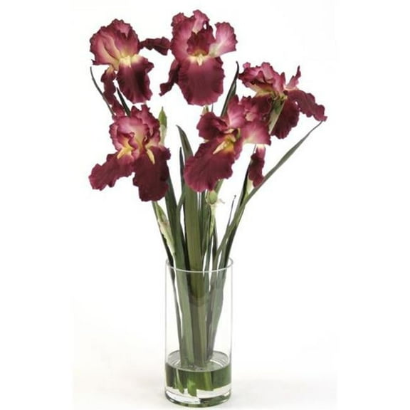 Waterlook Amethyst Irises with Blades in Glass Cylinder