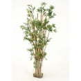 thumbnail image 1 of Waterlook Bamboo in Tall Rectangular Glass Vase, 1 of 1