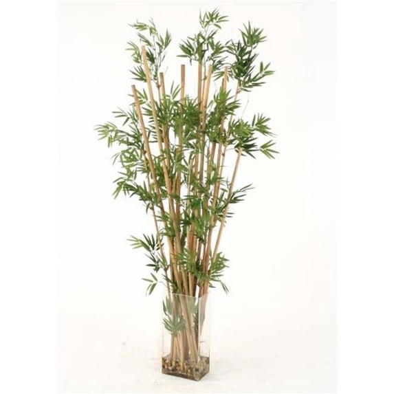 Waterlook Bamboo in Tall Rectangular Glass Vase