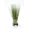 thumbnail image 1 of Waterlook Grass in Rectangular Glass, 1 of 1