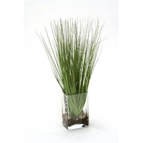 Waterlook Grass in Rectangular Glass