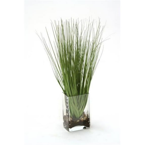 Waterlook Grass in Rectangular Glass