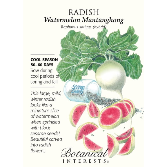 Watermelon Mantanghong Radish Seeds - 1 gram