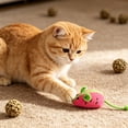 thumbnail image 1 of Watermelon Mouse Cat Plush Toy, Fruit Shaped Interactive Kitten Play Toy with Long Tail for Indoor Cat Entertainment, 1 of 6