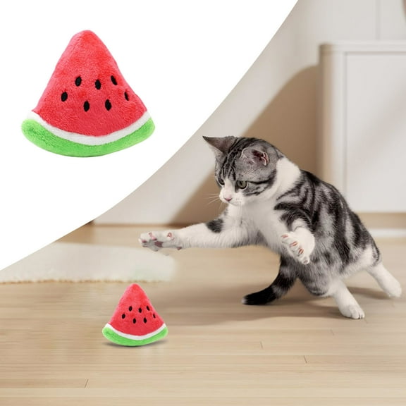 Watermelon Plu Sh Squeaker Toy for Dogs of All Sizes – Interactive Pet Toy for Wet and Snap-Elastic with Chew