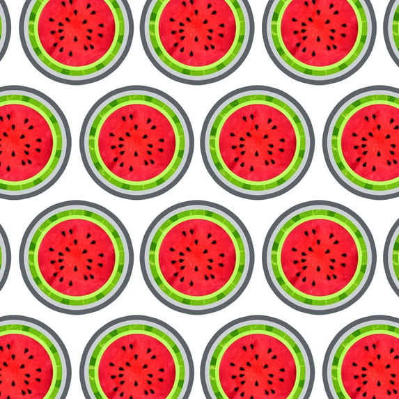 Watermelon Premium Gift Wrap Wrapping Paper Roll