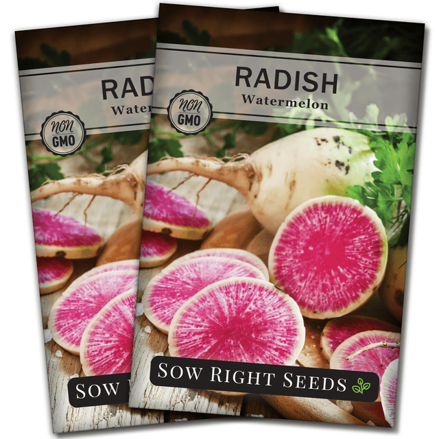 Non Ripe Raddish Watermelon Radish Seeds - Non GMO Heirloom Varieties for your Home ...