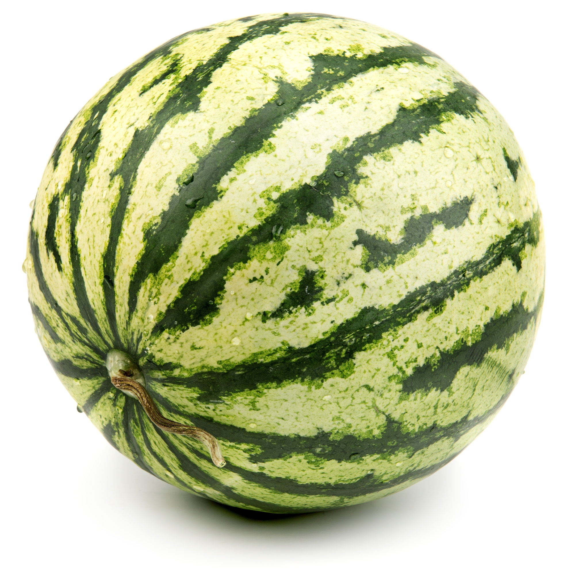 Watermelon Seeds - Dixie Queen - 1 Lb ~6,400 Seeds - Citrullus lanatus - Farm & Garden Vegetable / Fruit Seeds - Non-GMO, Heirloom, Open Pollinated, Annual