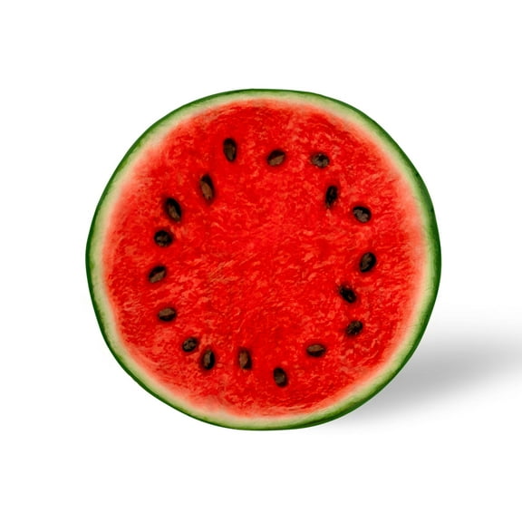Watermelon Slice Round Fleece Throw Blanket | 60 Inches
