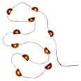 thumbnail image 1 of Watermelon String Lights, 1 of 4
