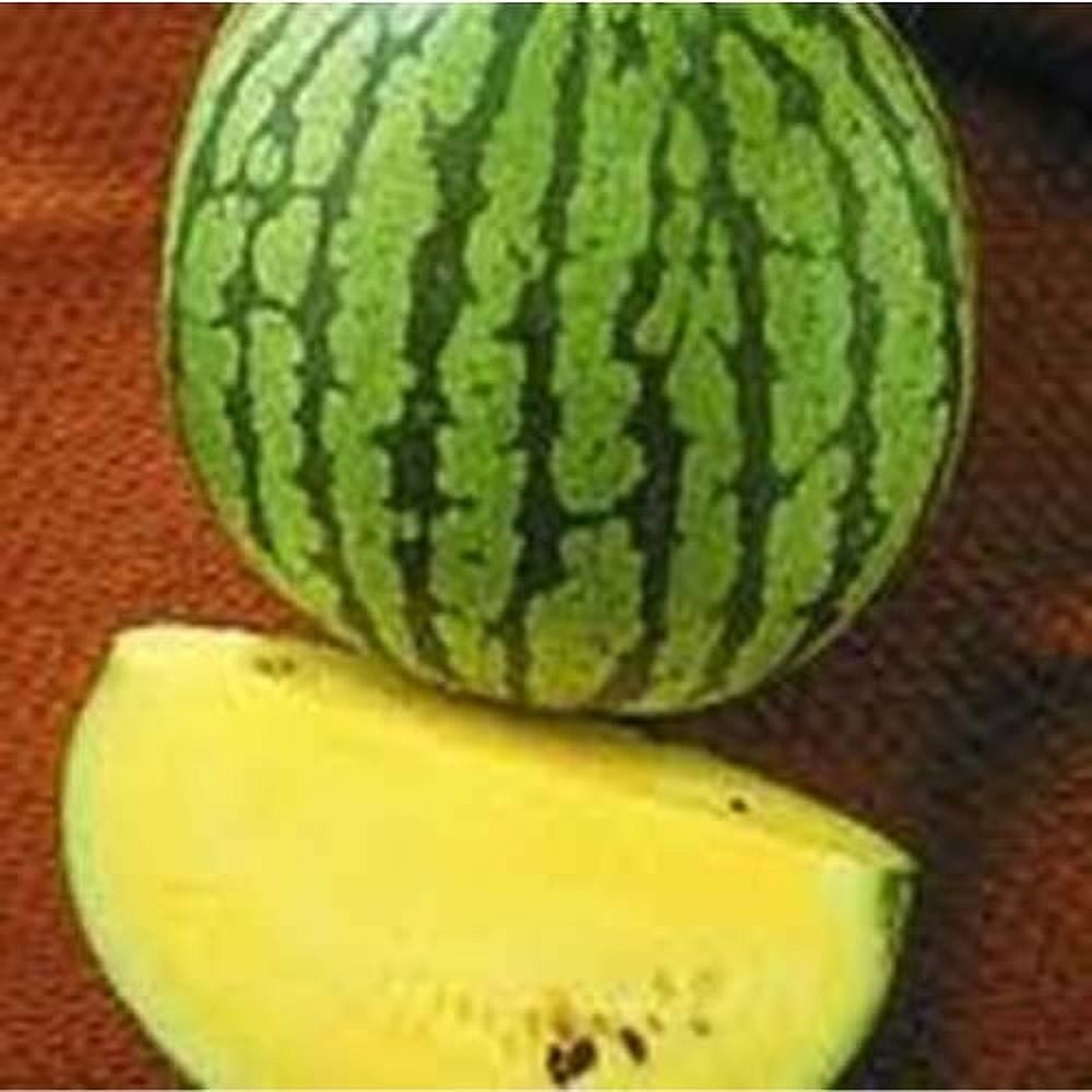 Watermelon Yellow Doll - Hybrid Great Garden Vegetable By Seed Kingdom 25  Seeds