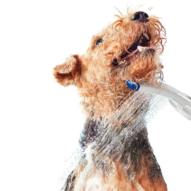 Waterpik Pet Wand Dog Shower