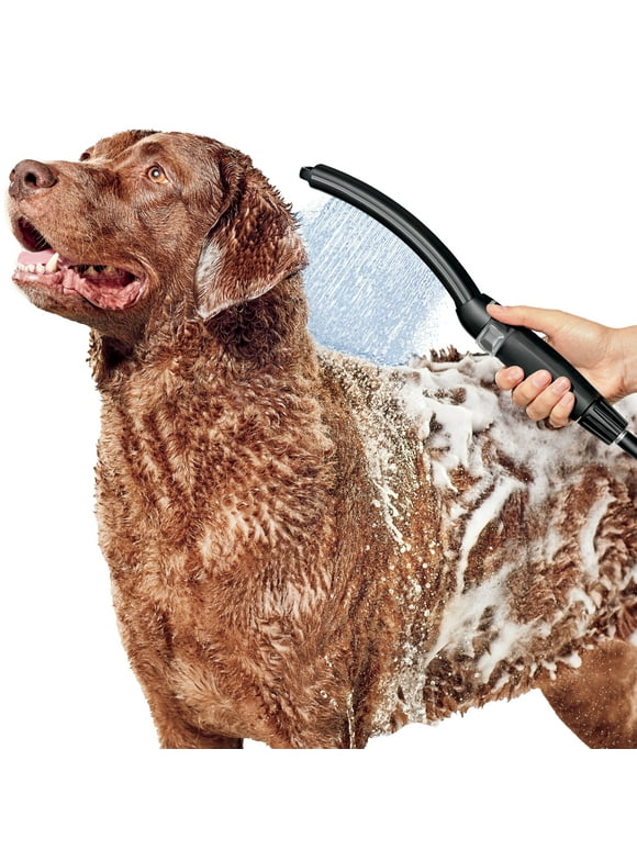 Dog Grooming in Dogs