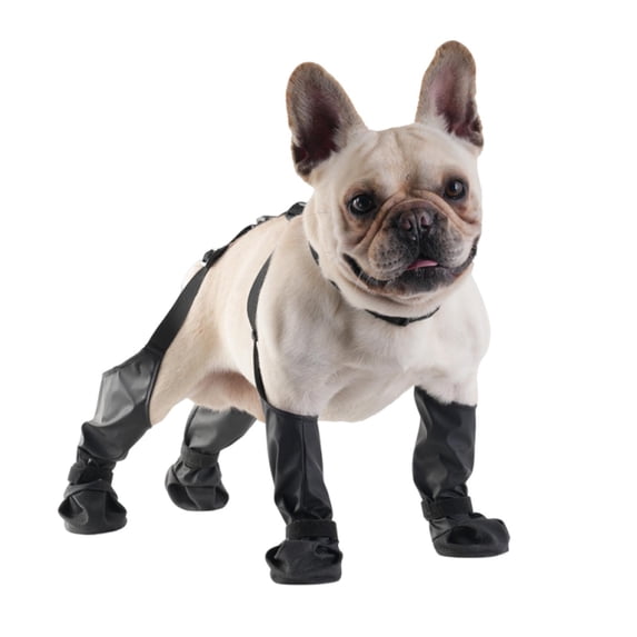 Waterproof, Anti-Slip Dog Boots for Small/Medium Dogs. Protects Paws on hot Pavement, Snow, and Outdoor Walks. Secure Harness Design. Ideal for All Seasons