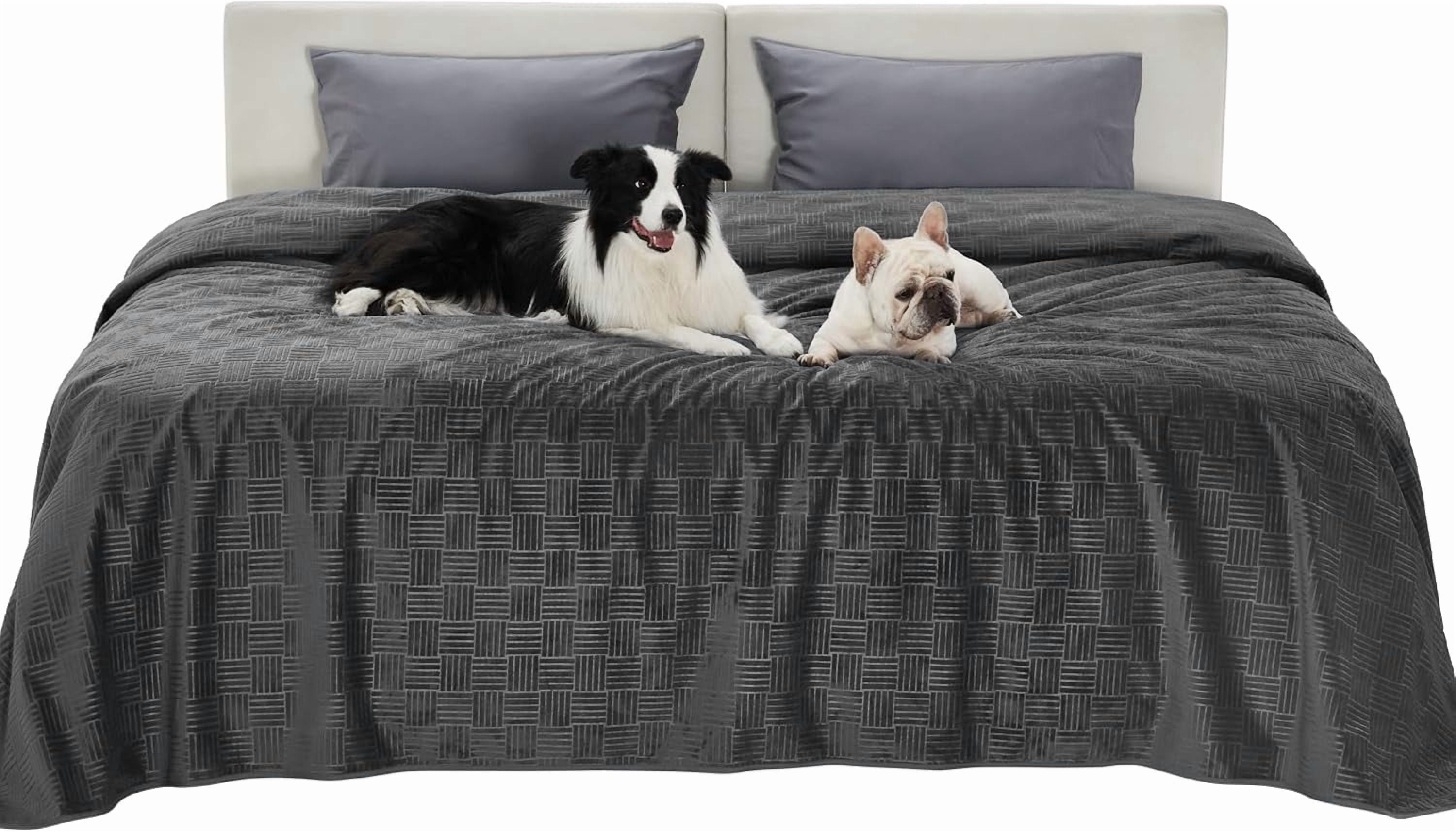 Waterproof Bed Cover for Dogs Washable - Waterproof Blanket for King Bed Couch Sofa Cozy, Lightweight Furniture Protector for Pet Cat Quick Drying, Charcoal, Cal King，82x120IN