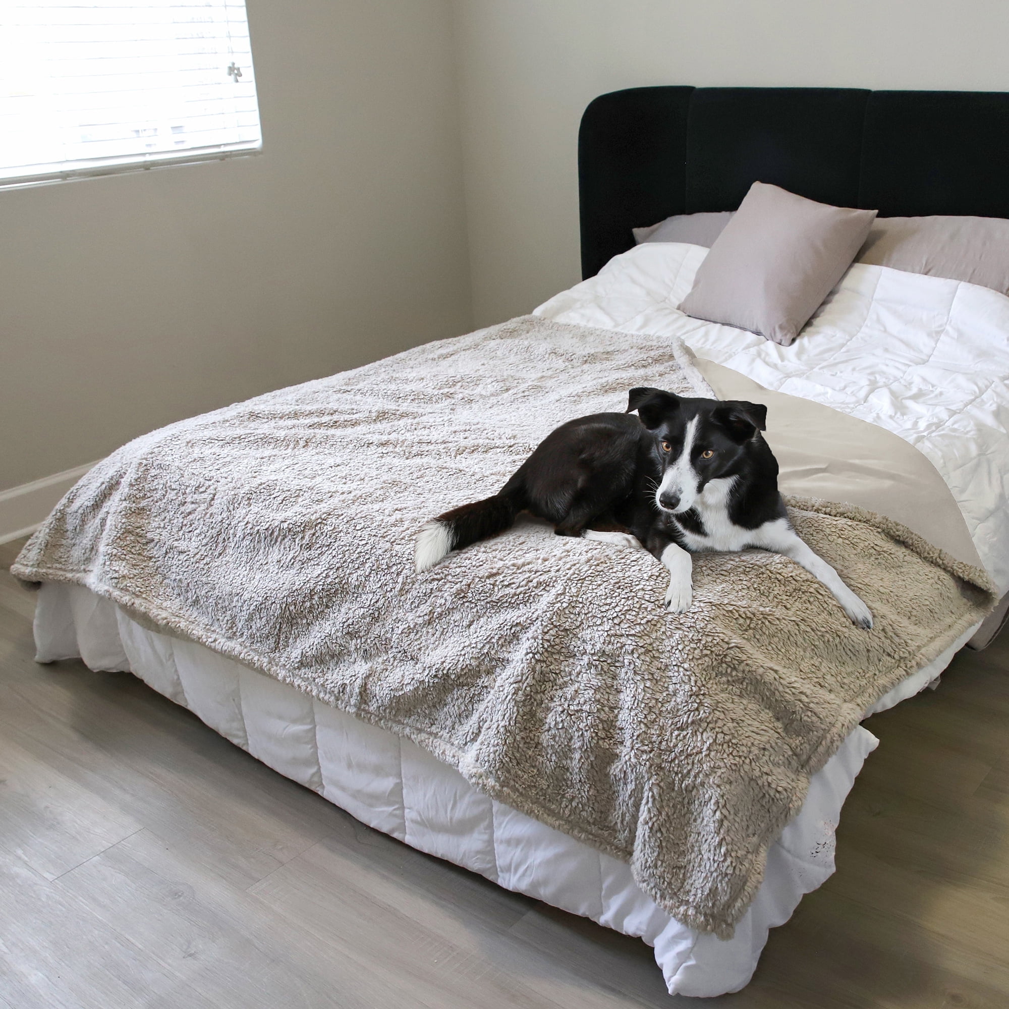 How to get dog pee out of blankets discount