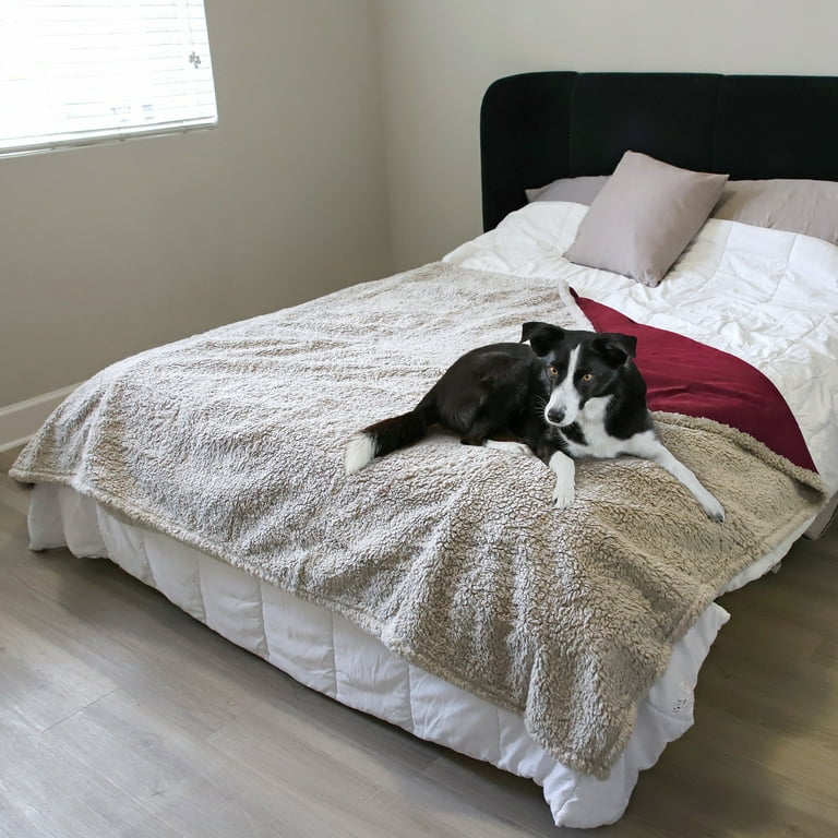 Cat proof cheap bed cover
