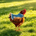 thumbnail image 1 of Waterproof Chicken Saddle for Hens, Chicken Apron for Hens with Elastic Straps, Breathable & Washable Feather Protection Vest for Broody Hens or Molting, Easy to Clean, 1 of 6