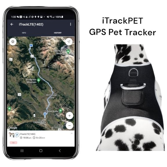 Waterproof Collar Mount Tracker Realtime GPS GSM Puppy Tracking Device Size:L