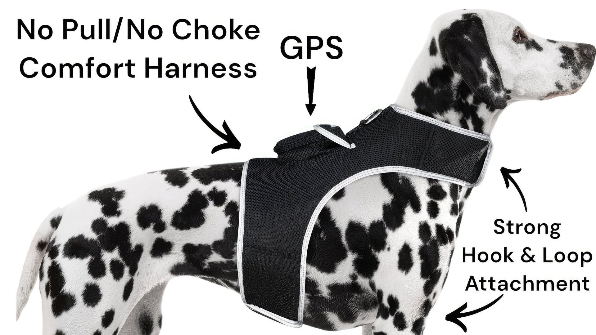 Waterproof GSM GPRS GPS Pet Chip Collar Mount Tracking Device Realtime Size:XXL
